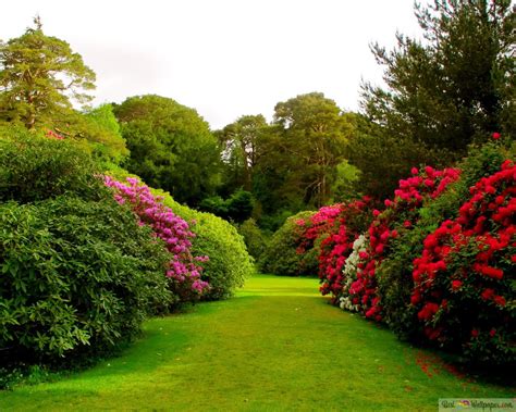 Beautiful Garden Scenery Hd Wallpaper Download Landscape Wallpapers