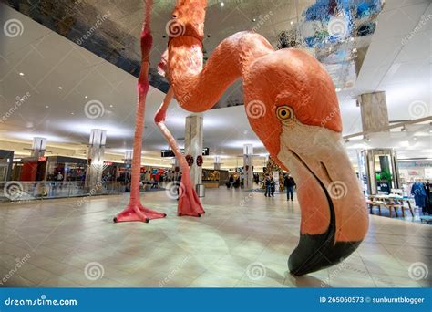 Tampa airport flamingo editorial stock photo. Image of bird - 265060573