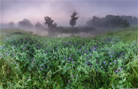 Poland, slovakia and hungary to the west; Scenic summer landscapes of Kharkiv region · Ukraine ...