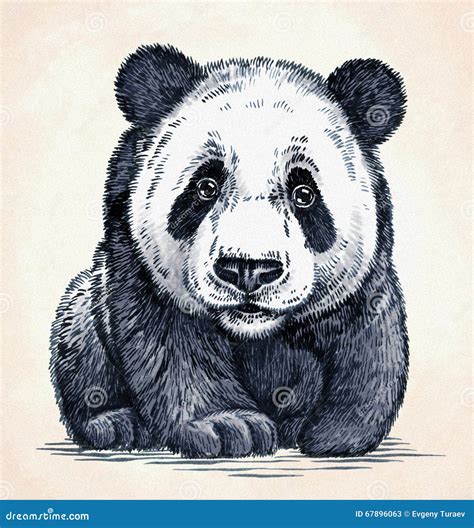 Engrave Ink Draw Panda Illustration Stock Illustration Illustration