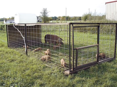 Super Efficient Outdoor Oven And Portable Pig Pen For Pastured Swine Grit