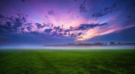 1536x20498 Green Grass And Fogg Under Purple Sky During Sunset