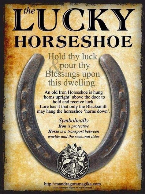 Lucky Horseshoe Good Luck Horseshoe Lucky Horseshoe Horseshoe
