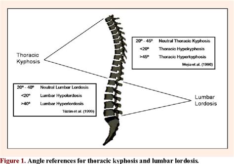 Figure 1 From Spinal Posture Of Thoracic And Lumbar Spine And Pelvic