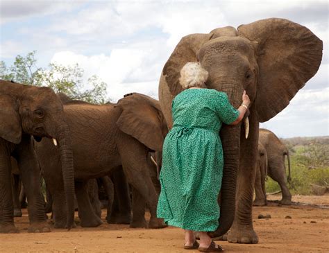 A Beautiful World The Empress Of Elephant Orphans Dies