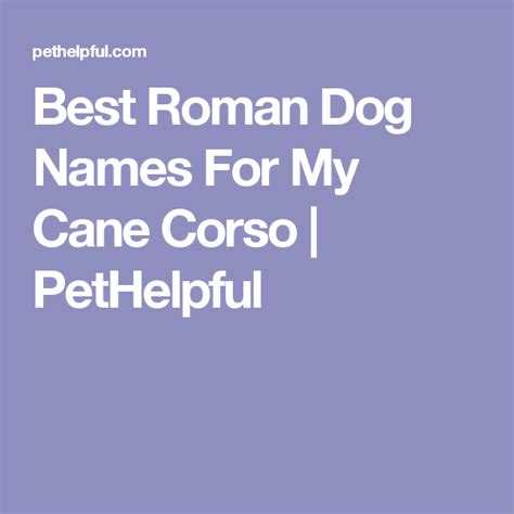 Best Roman Dog Names For My Cane Corso Pethelpful Dog Names Cane