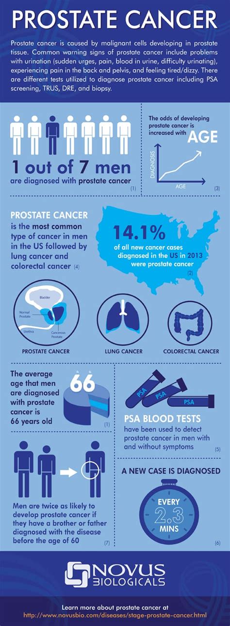 Prostate Cancer Infographic Antibody News Novus Biologicals