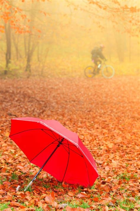 Red Umbrella In Autumn Park On Leaves Carpet Stock Image Image Of