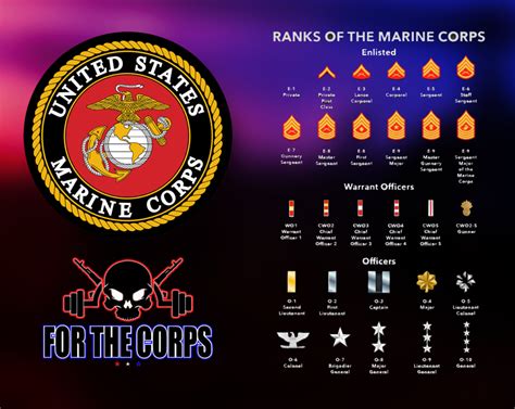 Ranks In The Marines Enlisted And Officers Ranks Described For The Corps