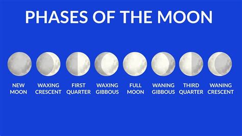 Earths Moon Goes Through Eight Different Phases A Full Moon Normally Occurs Once Each Month