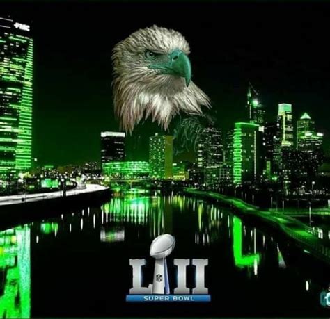 Pin By Carie Saad On Love My Eagles Eagles Philadelphia Eagles