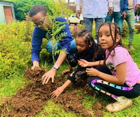 Ethiopia Breaks World Record With 353 Million Trees Planted In 12 Hours