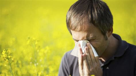 Allergy Season 101: 15 Exotic Allergies To Normal Things | HuffPost Canada Life