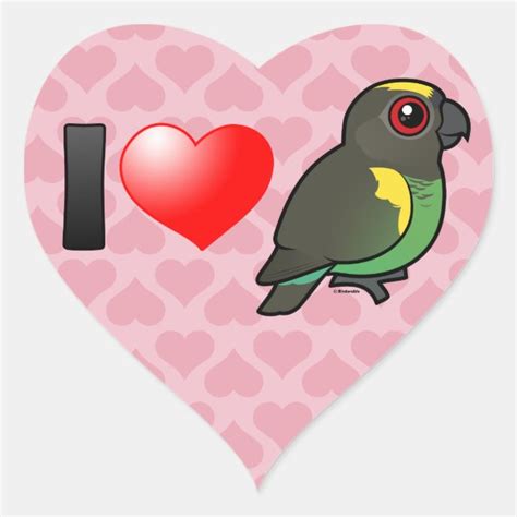 I Love Meyers Parrots Heart Sticker Cute Bird Ts