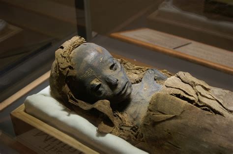 141 Best Images About Ancient Mummies On Pinterest