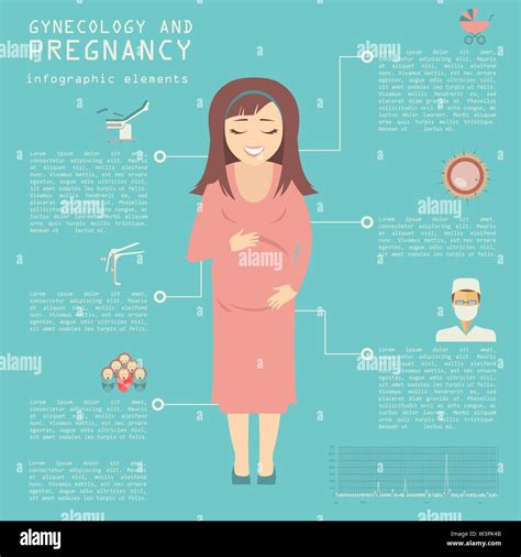 gynecology and pregnancy infographic template motherhood elements constructor for creating