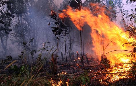 Selain bagi mempersiapkan jabatan kerajaan dan pagema dalam insiden berkenaan, ia juga untuk melatih penduduk sekiranya perkara berkenaan berlaku, ujarnya. Pencemaran Udara Kelompok Sembilan : SUMBER-SUMBER ...