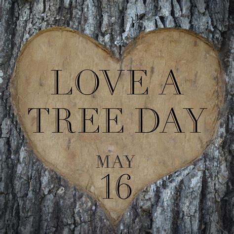 Today Is National Love A Tree Day Tag A Tree Lover Kens 5