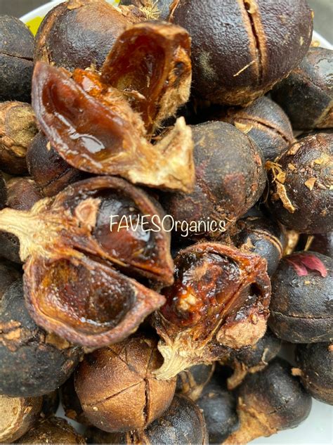 Organic Gorontula Fruits Azanza Garckeana Snot Apple Fruits Etsy Uk