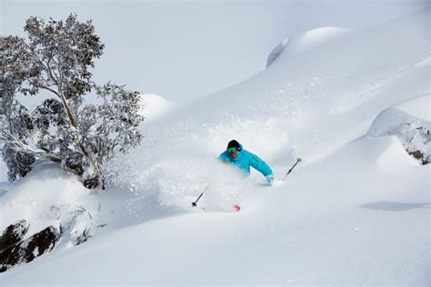 7 Day Snow Forecast For Thredbo Ski Resort