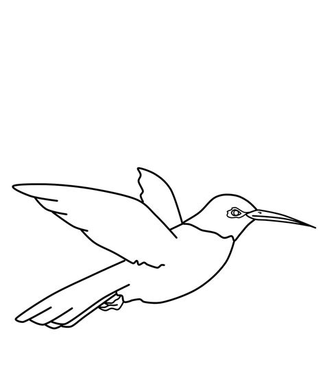 Search through 623,989 free printable colorings at getcolorings. Free Printable Hummingbird Coloring Pages For Kids