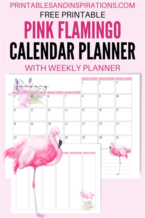 2020 2021 Flamingo Calendar Weekly Planner Free Printable