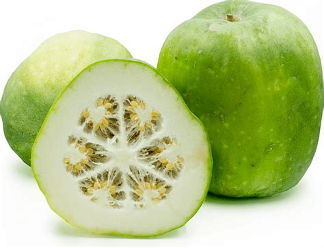 How to Grow Winter Melon | Winter melon, Winter melon soup, Melon