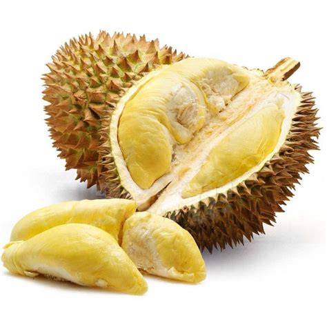 Exotic Fruits You Ve Probably Never Heard Of Fruits Good For Kidney Durian Tree Weird Fruit