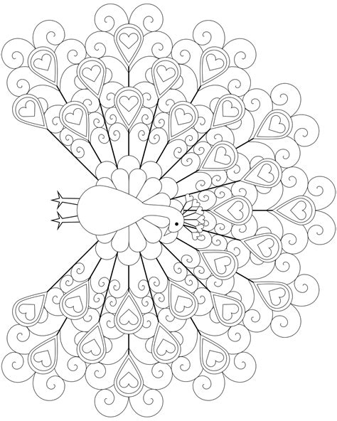 Baby peacock coloring pages see more images here : Peacock feathers coloring pages download and print for free
