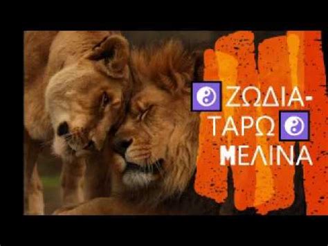 Την ολική έκλειψη του ηλίου που θα σημειωθεί σήμερα παρασκευή (20/3) θα έχουν την τύχη να την δουν σε όλο της το… μεγαλείο οι περίπου 50.000 κάτοικοι των απομονωμένων νήσων φαρόε. ΚΡΙΟΣ,ΛΕΩΝ,ΤΟΞΟΤΗΣ ΓΥΝΑΙΚΑ// BONUS VIDEO//ΝΕΑ ΣΕΛΗΝΗ ΣΤΟΝ ...