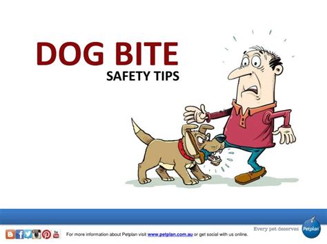 Ppt Dog Bite Safety Tips Powerpoint Presentation Id7204798