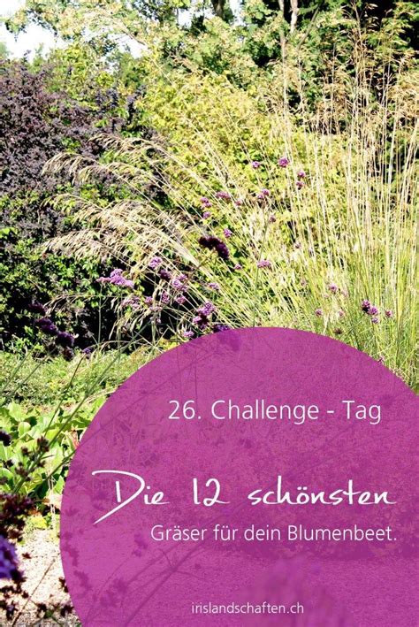 Die sitzecke im eigenen garten sollte seinen bewohnern höchsten komfort darbieten. Beet mit Gräsern gestalten: Meine 12 Lieblinge ...
