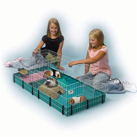 Midwest Homes For Pets Large Guinea Pig Habitat Cage W 8 Square Feet