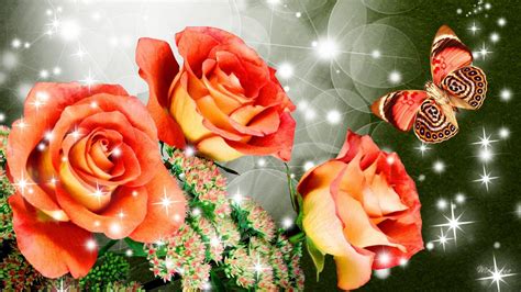 Fire Roses Hd Desktop Wallpaper Widescreen High
