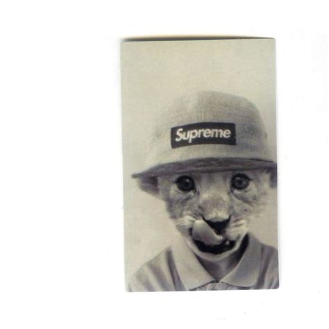 1443 Cat With Supreme Hat Black And White Photo 8 Cm Decal Sticker