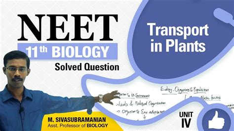 NEET 11th Biology Transport In Plants Solved Multiple Choice