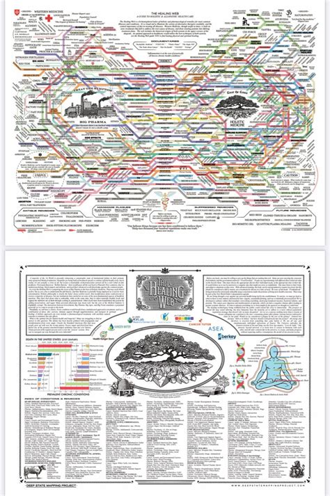 The Healing Web Map Of Remedies For Common Illnesses And Conditions Art