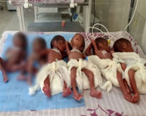 An american woman gives birth 17 babies at once. women gives birth to 6 babies in Madhya Pradesh | KalingaTV