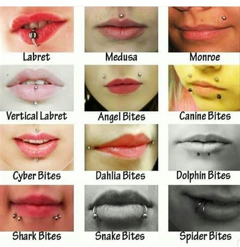 Pin By Itslyssaleigh On Tattoos And Piercings Mouth Piercings Face Piercings Piercings For