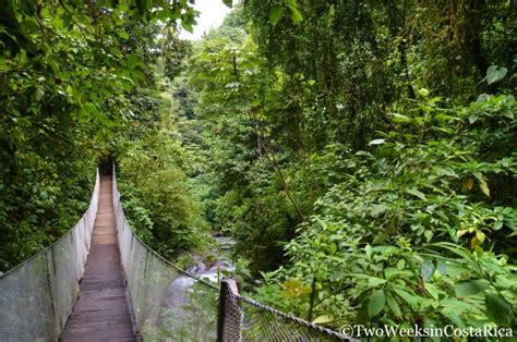 Update information for antonio costa valente ». 7 Off-the-Beaten-Path Things to Do Near Manuel Antonio ...