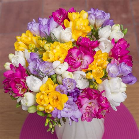 Send The Sweet Smelling Fragrance Of 20 Long Stemmed Dutch Freesia In