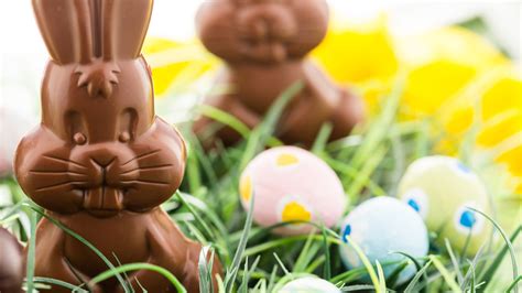 Here's Where America's Chocolate Easter Bunny Tradition Might Have Come ...