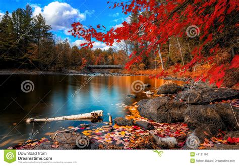 Autumn Landscape Stock Photo Image Of Outdoor October 44121160