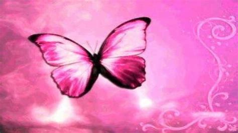 Butterflies set cute cartoons gold glitter vector. Pink Butterfly Wallpapers - Top Free Pink Butterfly ...