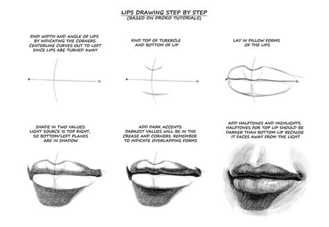 Pin by marvel steep on Анатомия in 2020 Lips drawing Guided drawing