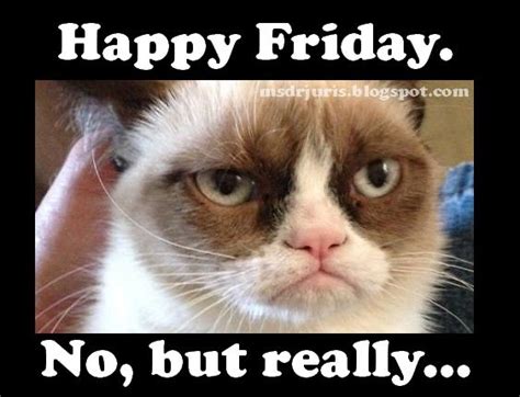 Happy Friday Grumpy Cat