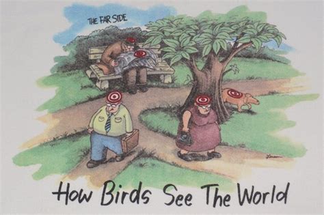 Items Similar To Vintage How Birds See The World Far Side Gary Larson