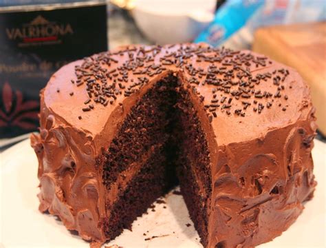 Delicious Ina Chocolate Cake Easy Recipes To Make At Home