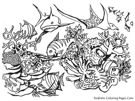 Under The Sea Coloring Pages Coloring Home