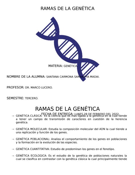 Ramas De La Genética Ramas De La GenÉtica GenÉtica ClÁsica Es La